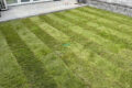 Roll on Turf