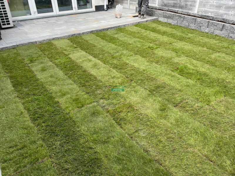 Lawn Turfing